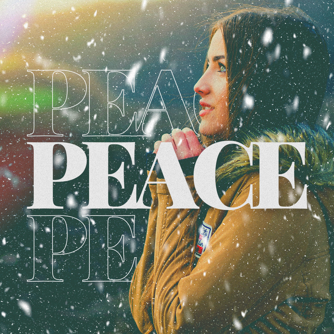 Christmas 132