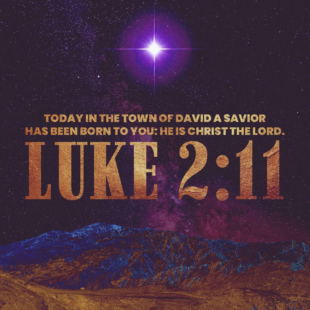 Christmas 157