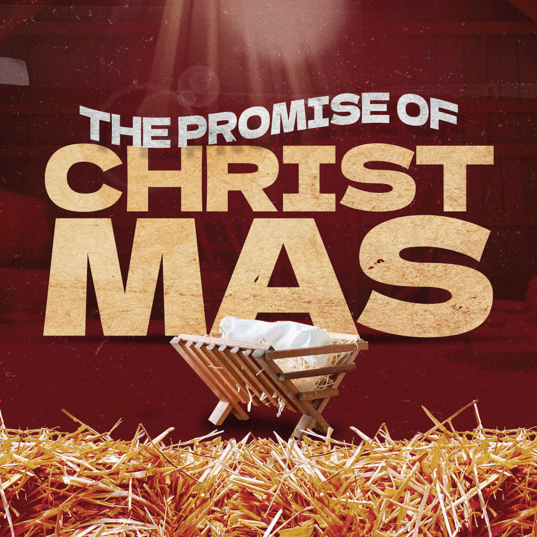 Christmas 183