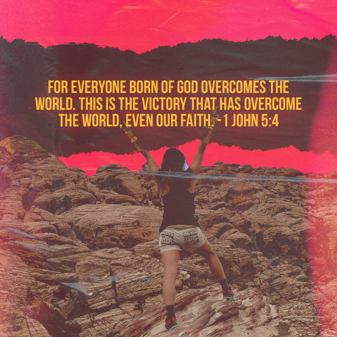 Social Scripture 629