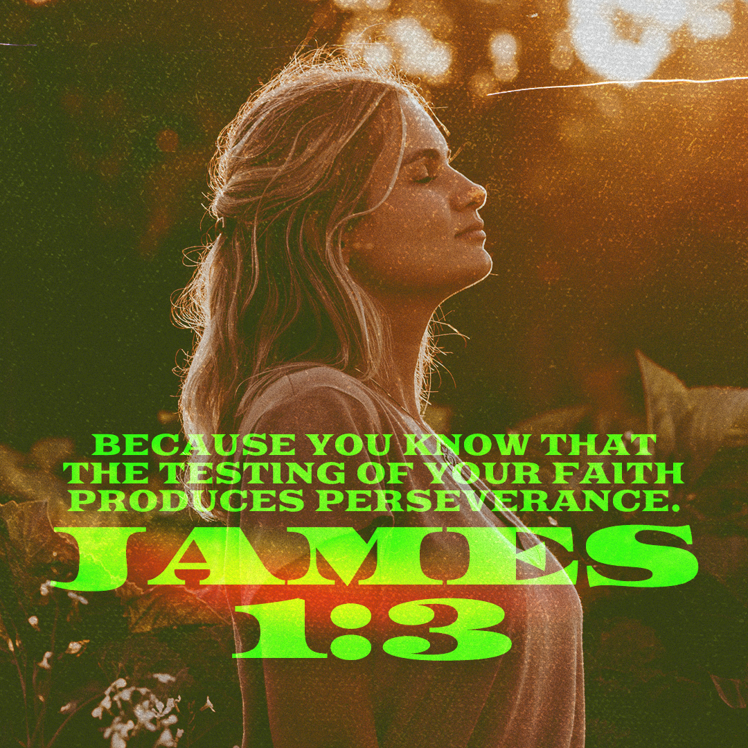 Social Scripture 633