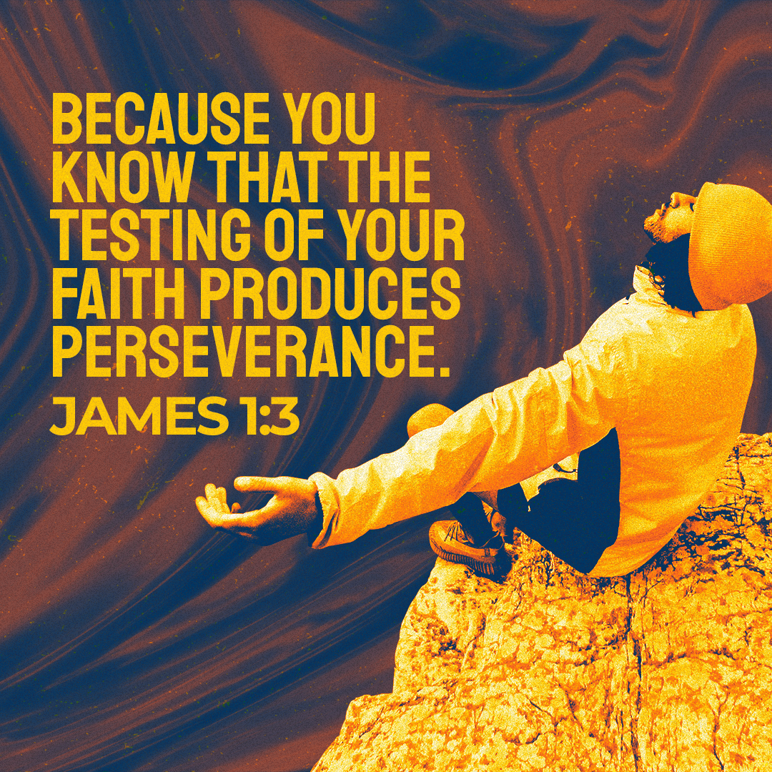 Social Scripture 638