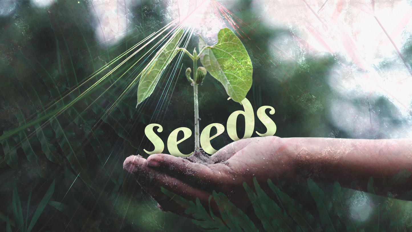 Seeds