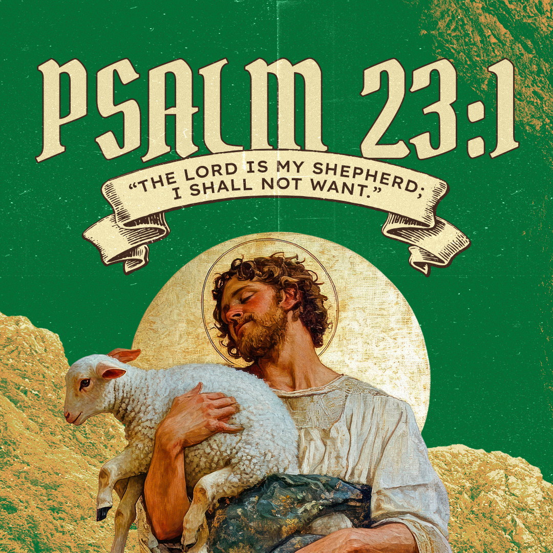 Social Scripture 702