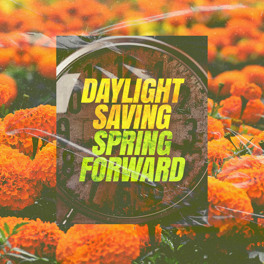 Daylight Savings 58