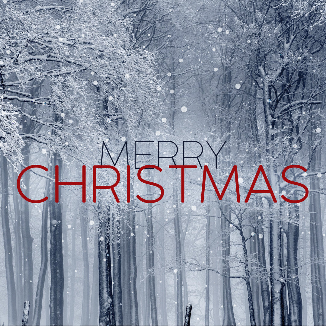 Christmas Graphic 49