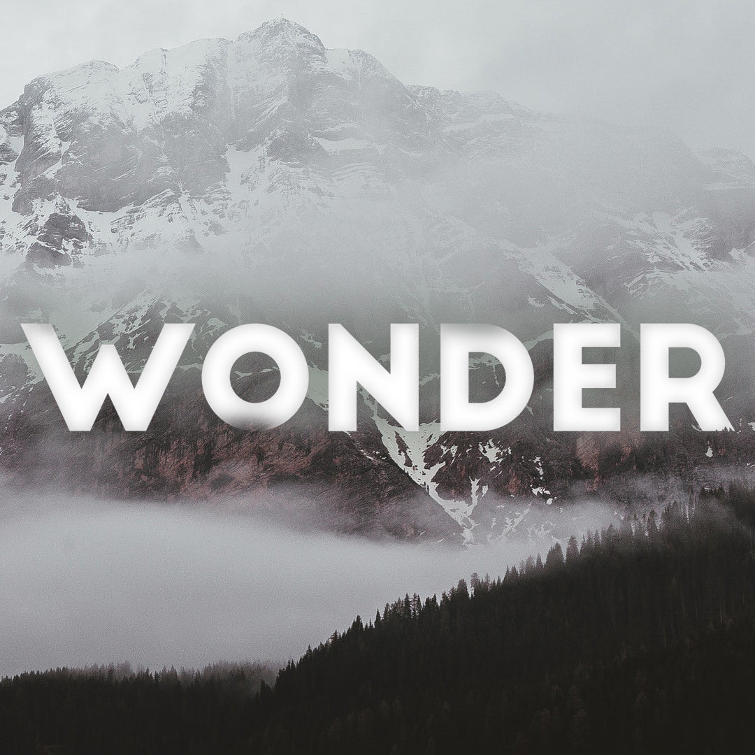 Christmas Graphic 96