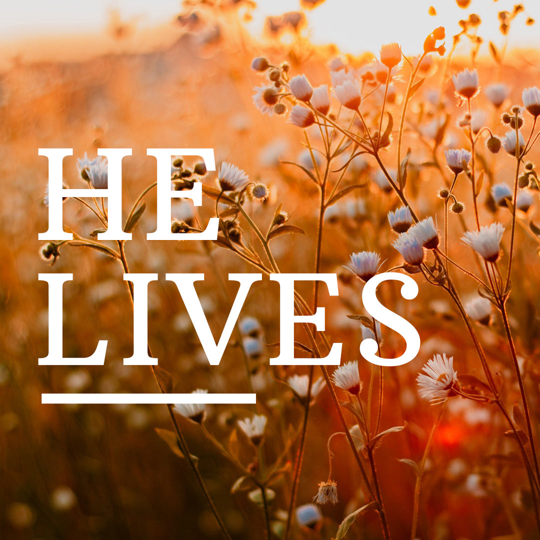 Easter Graphic 3