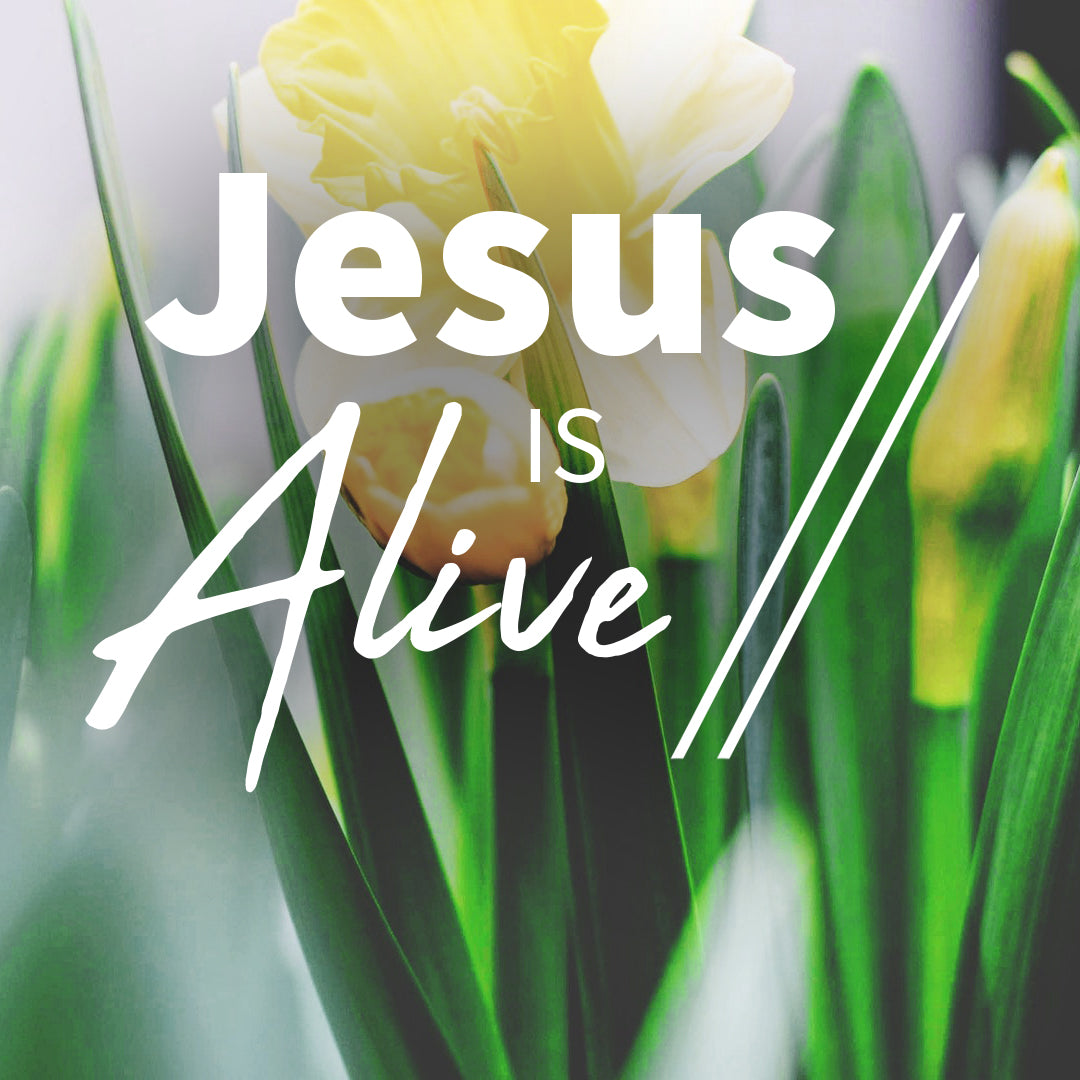 Easter Graphic 56
