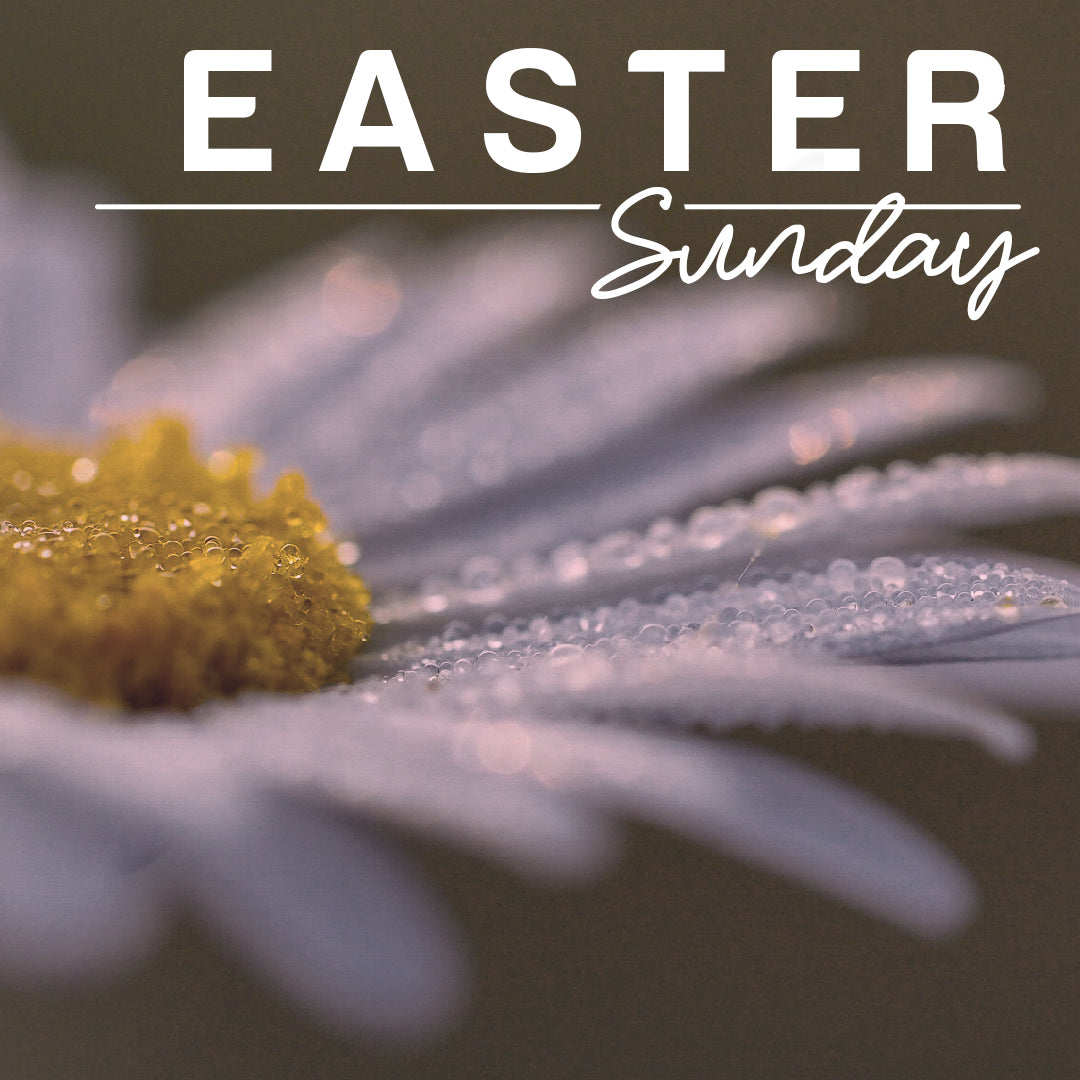 Easter Graphic 91