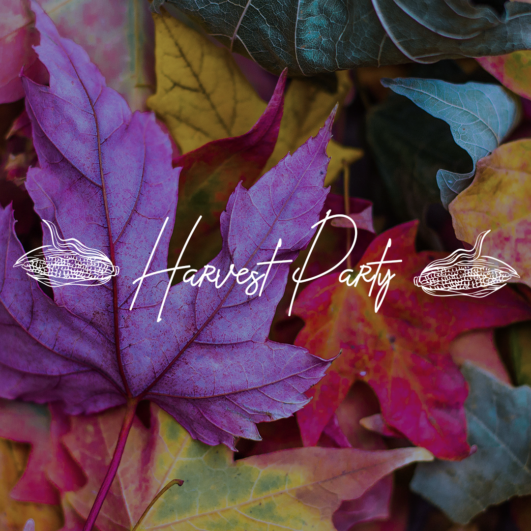 Harvest Festival 16