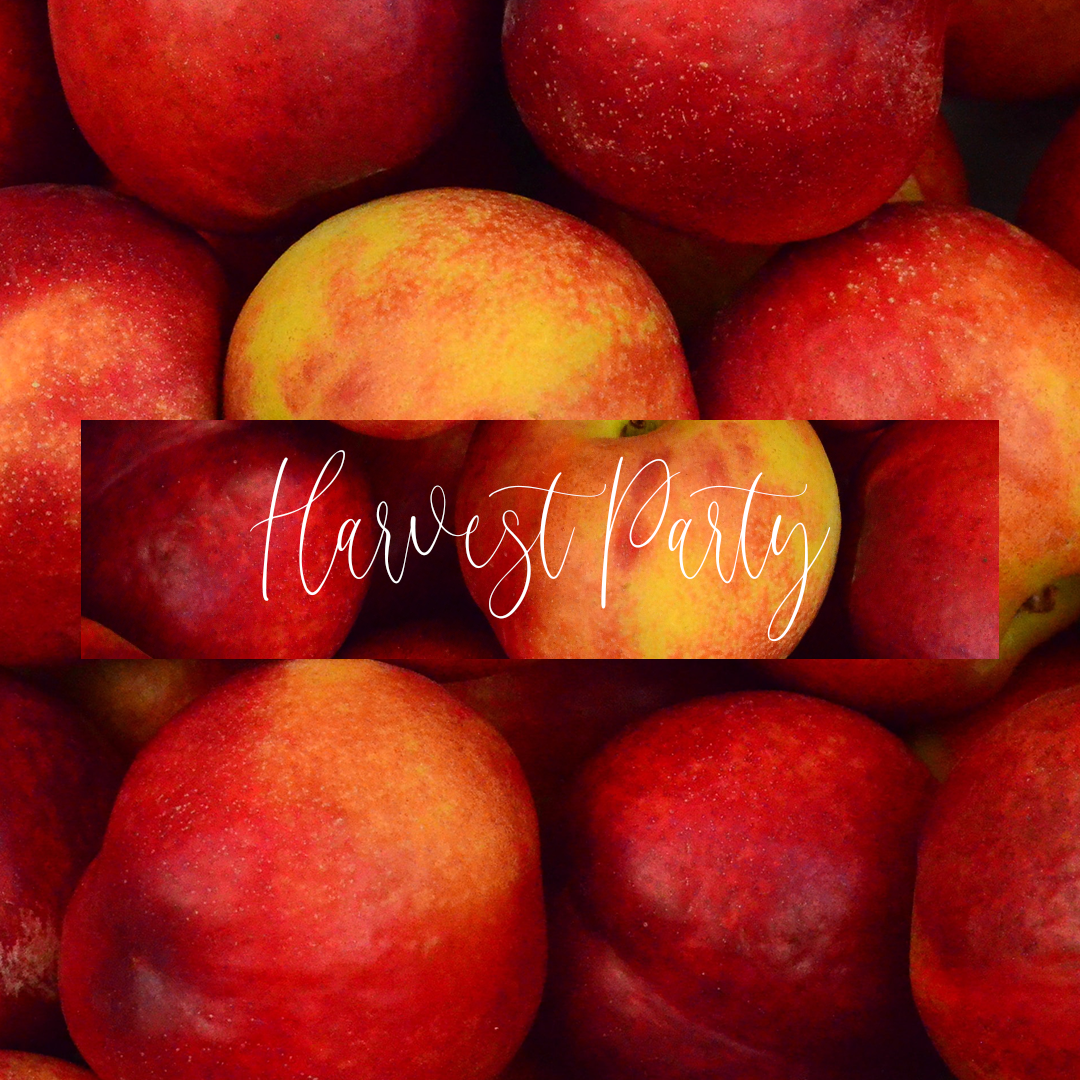 Harvest Festival 21