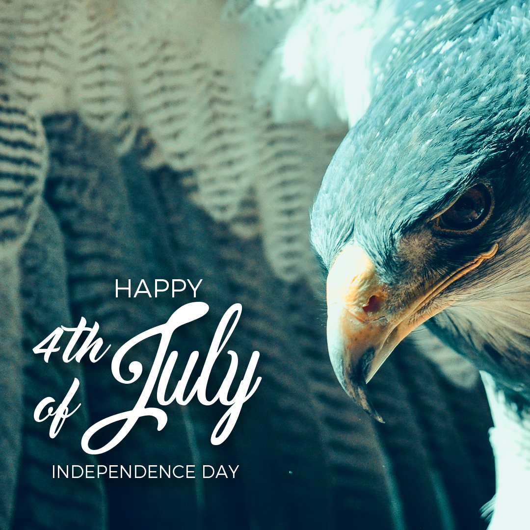Independence Day 24
