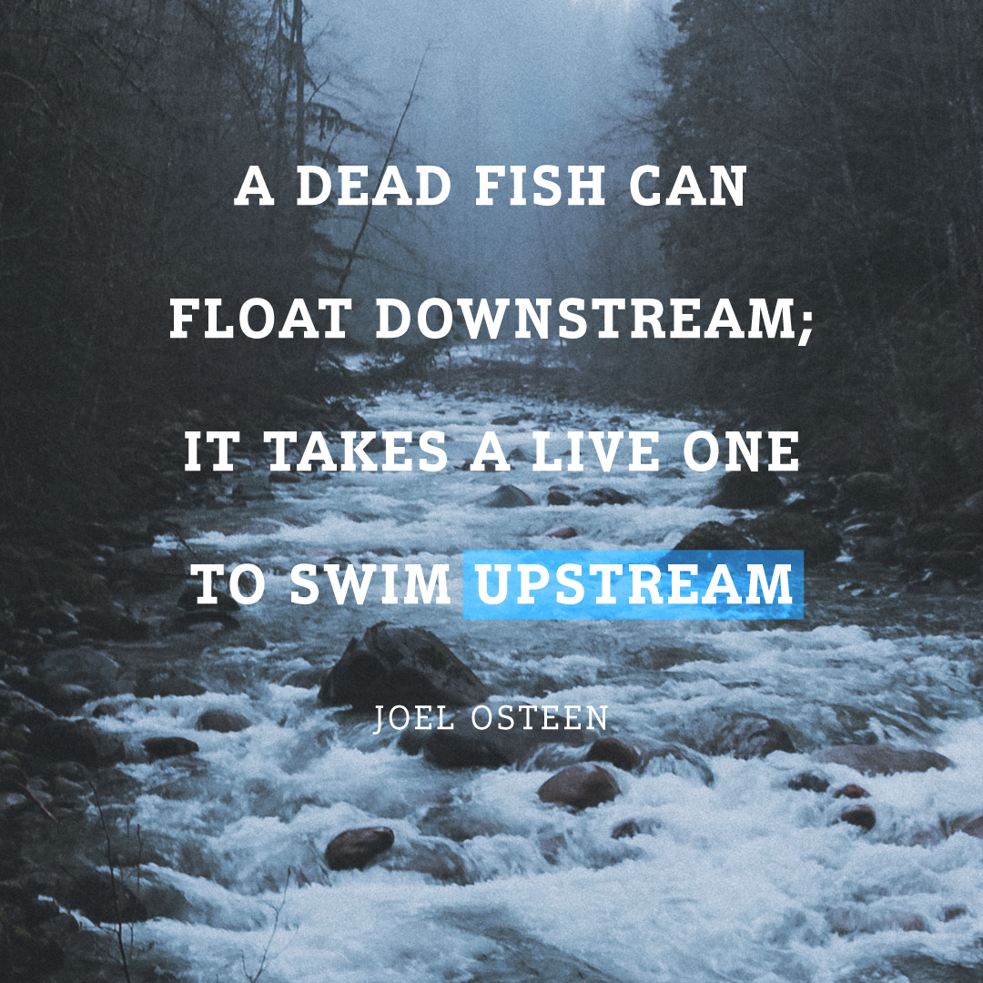 Social Inspirational 13