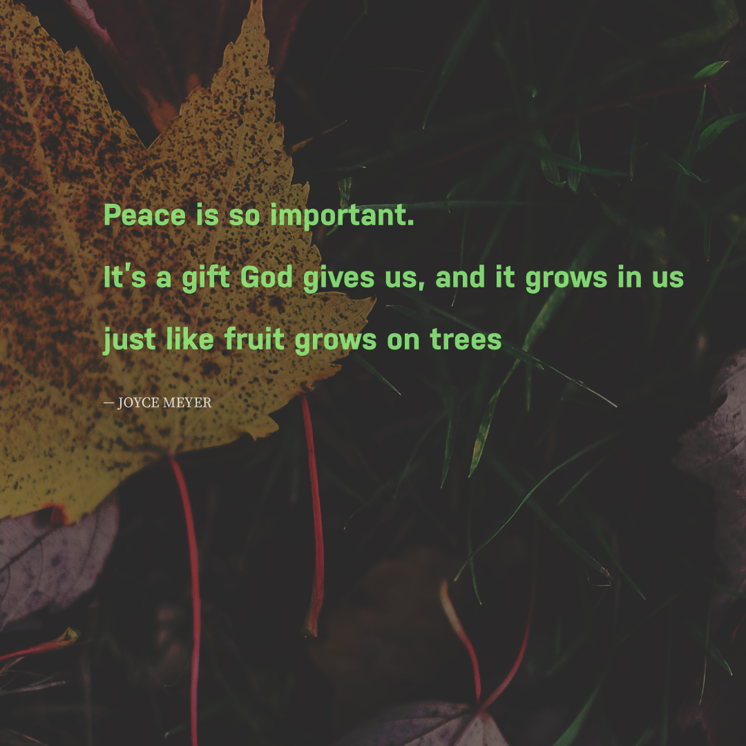 Social Inspirational 26