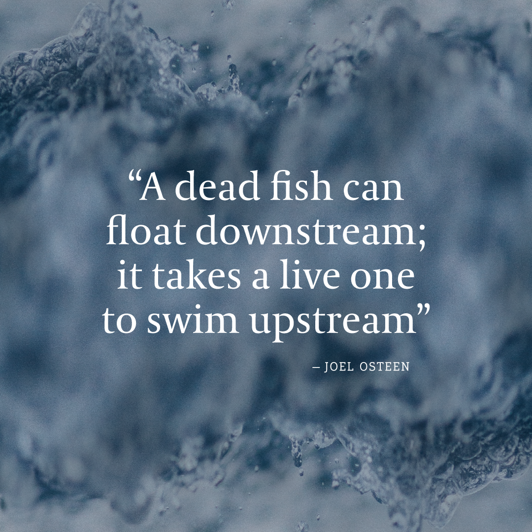 Social Inspirational 30