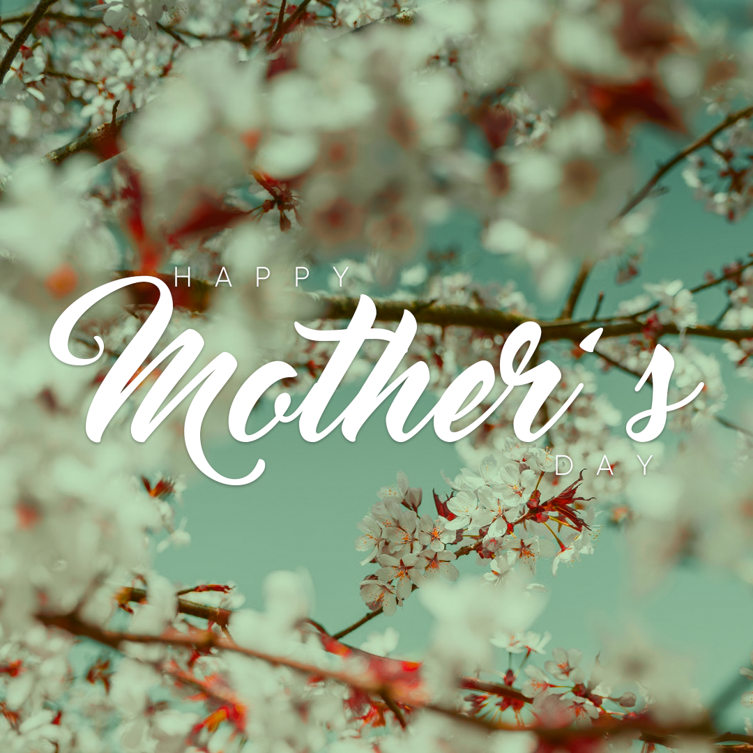 Mothers Day Set 42