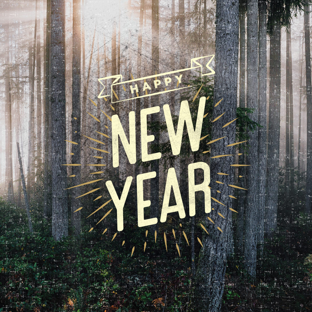 New Years Day 11