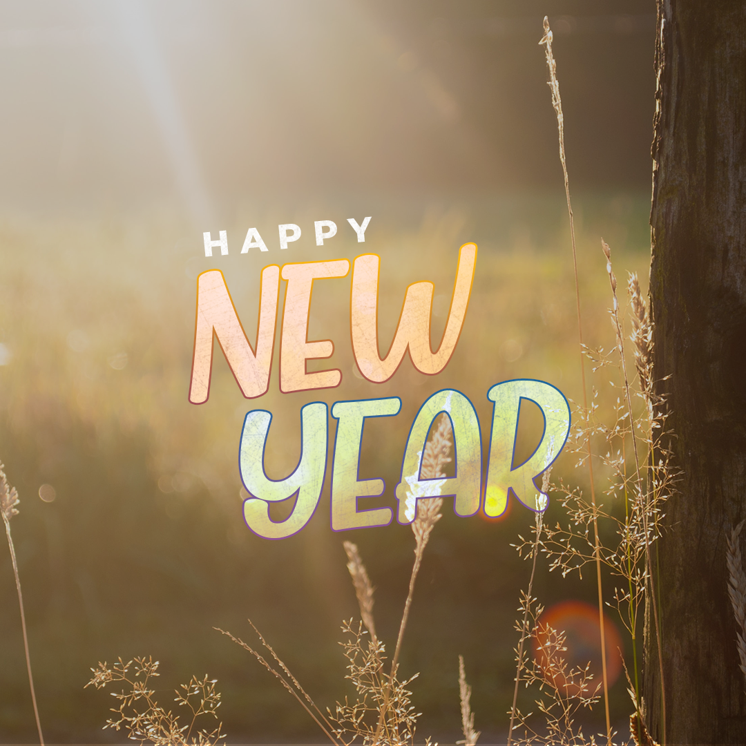 New Years Day 30