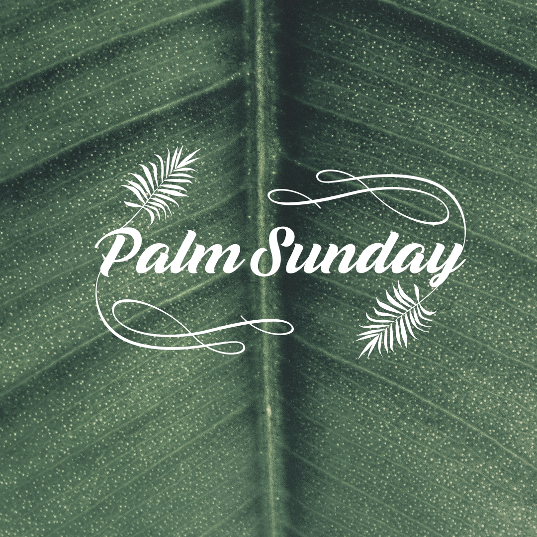 Palm Sunday 13