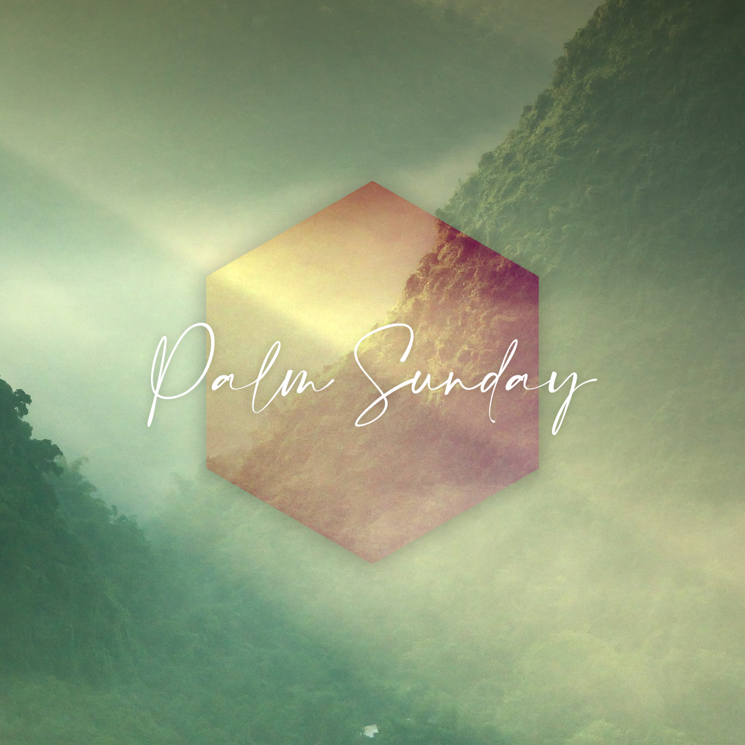 Palm Sunday 50