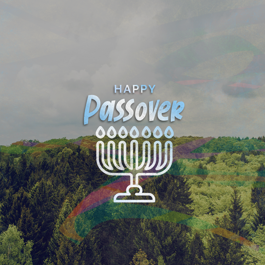 Passover 19