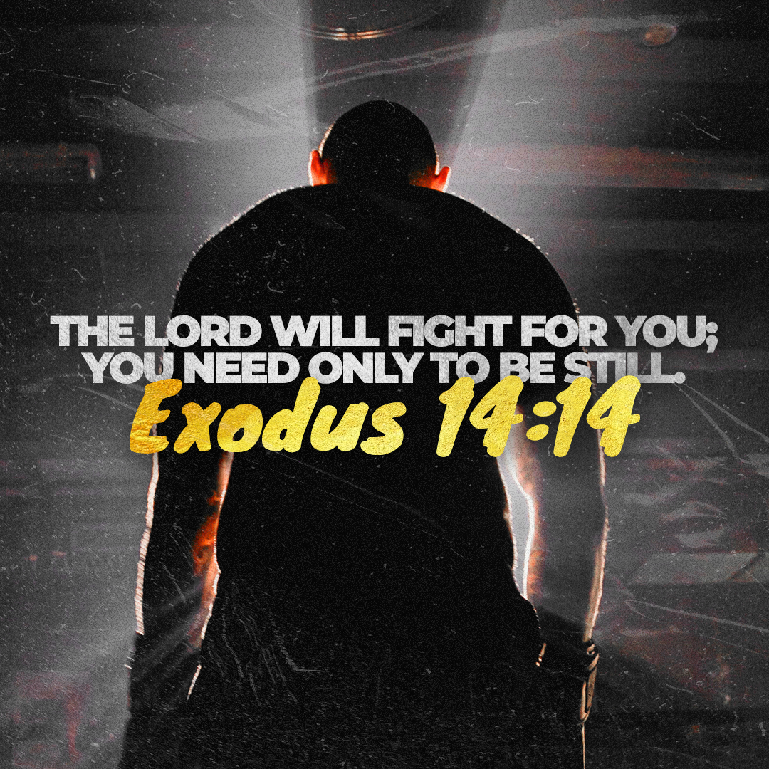 Social Scripture 464