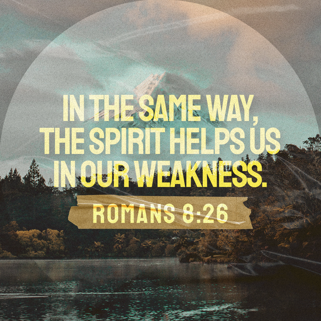 Social Scripture 475