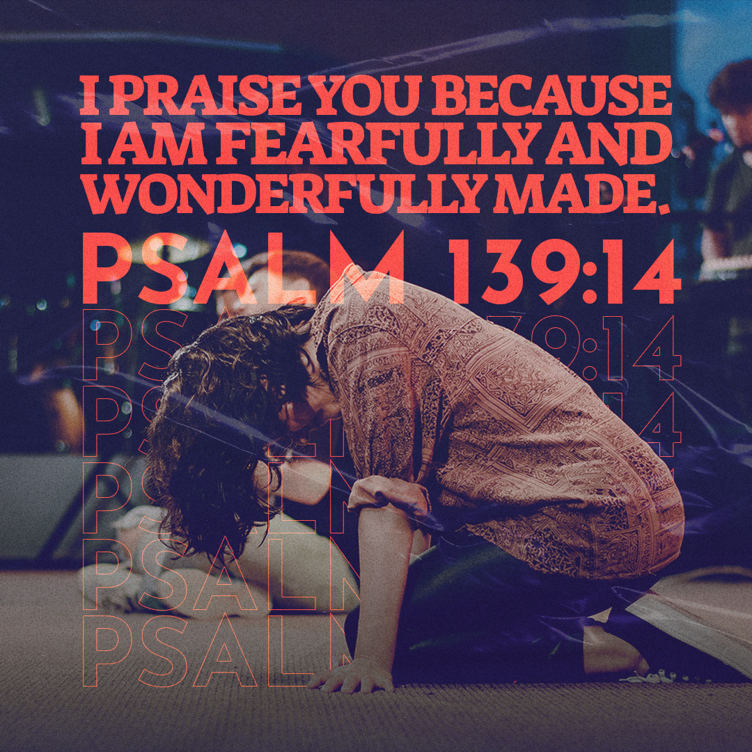 Social Scripture 486