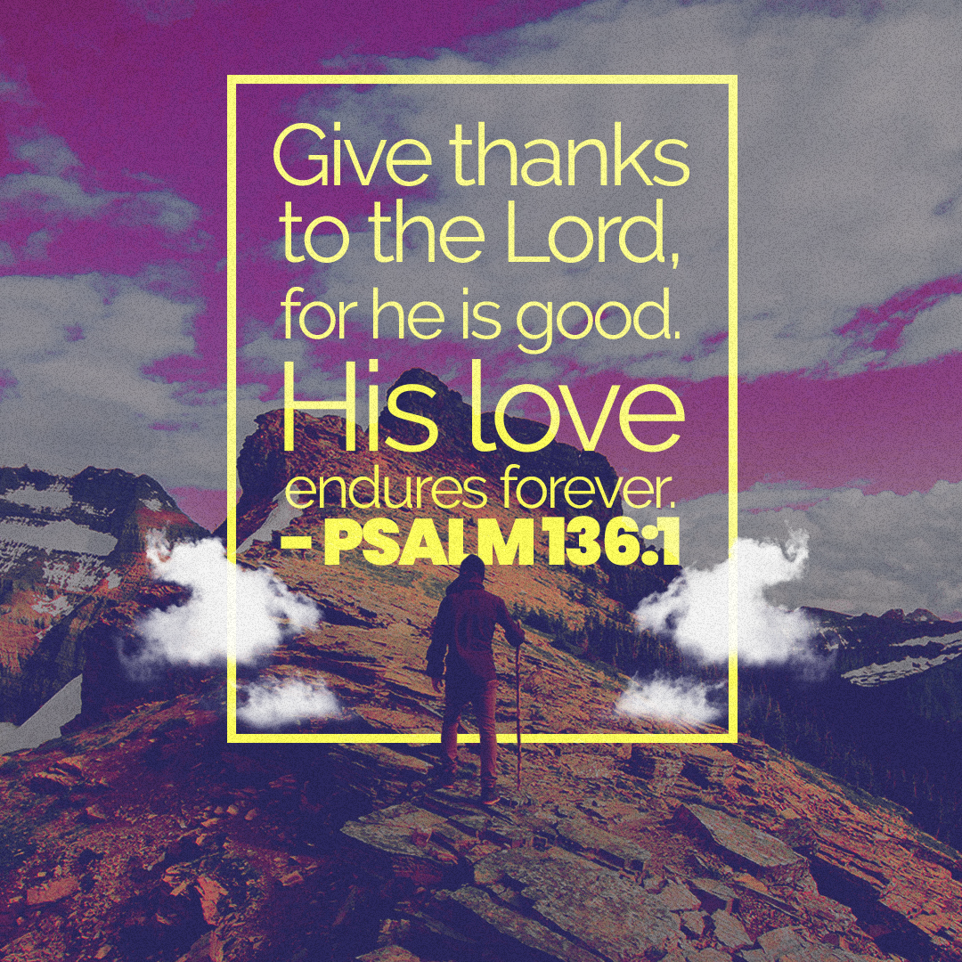 Social Scripture 493