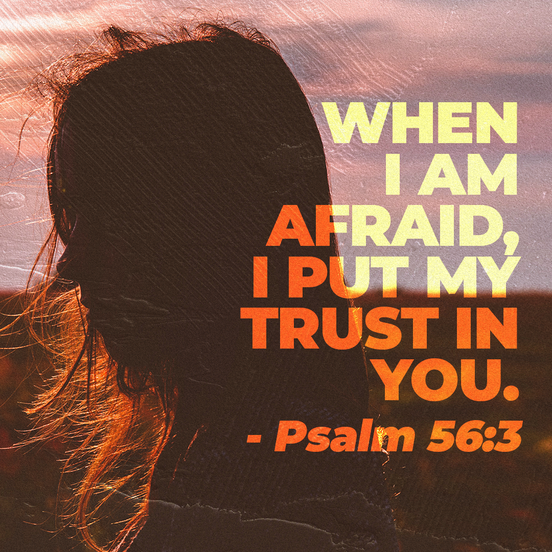 Social Scripture 495