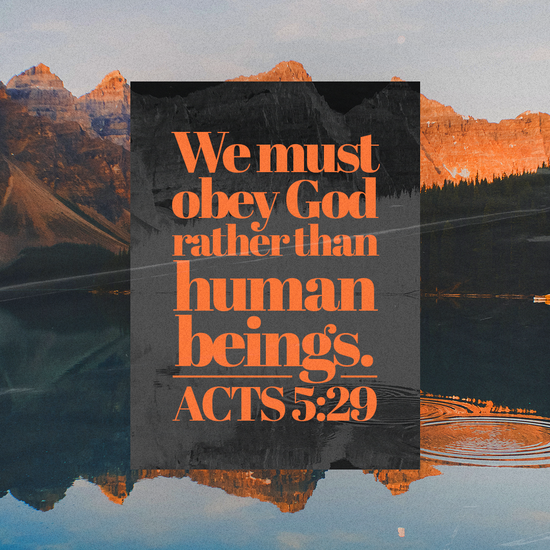Social Scripture 502