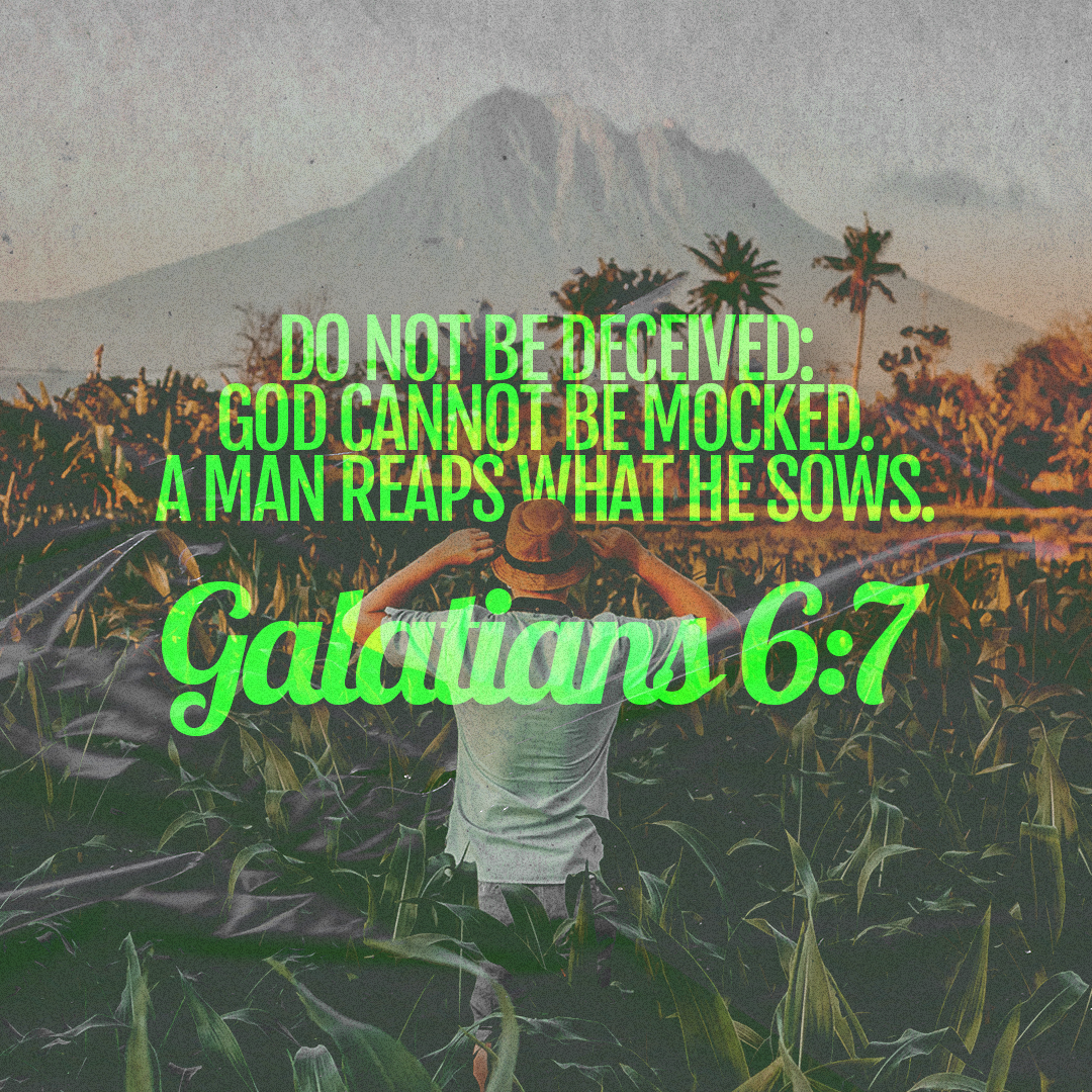 Social Scripture 528