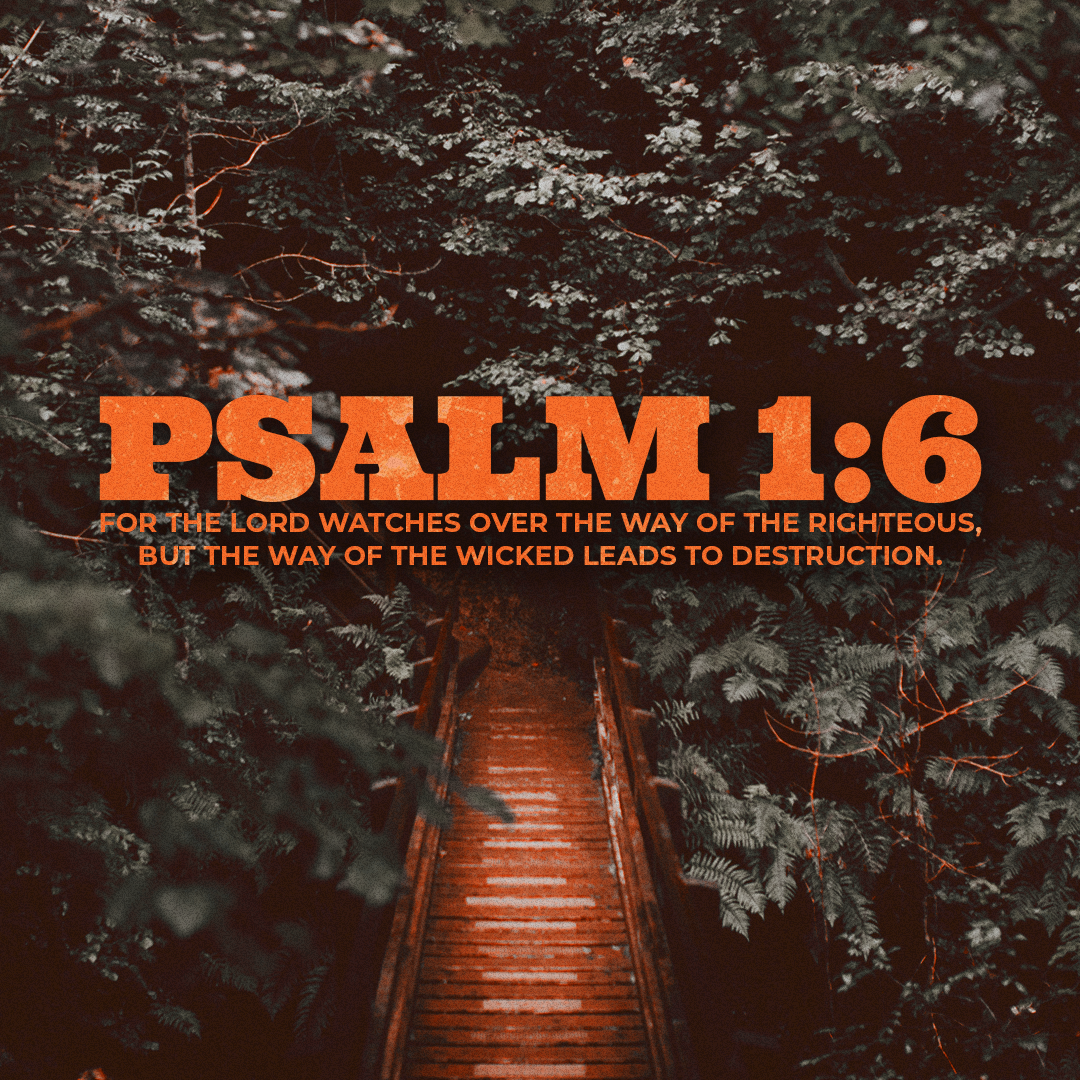 Social Scripture 530