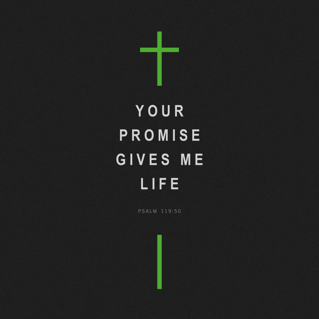 Social Scripture 120