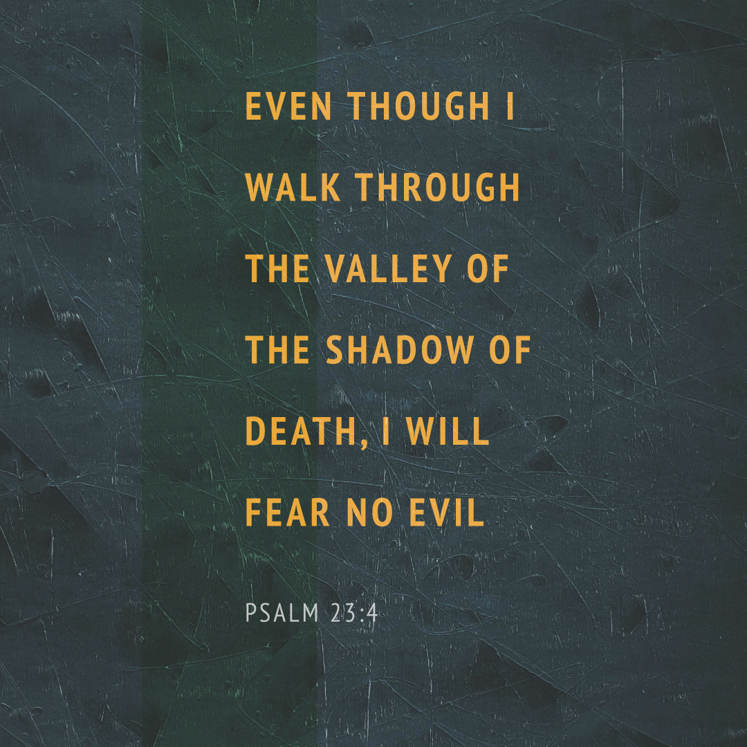 Social Scripture 128