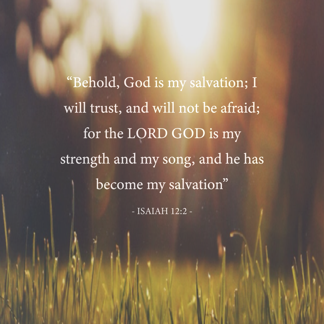 Social Scripture 17