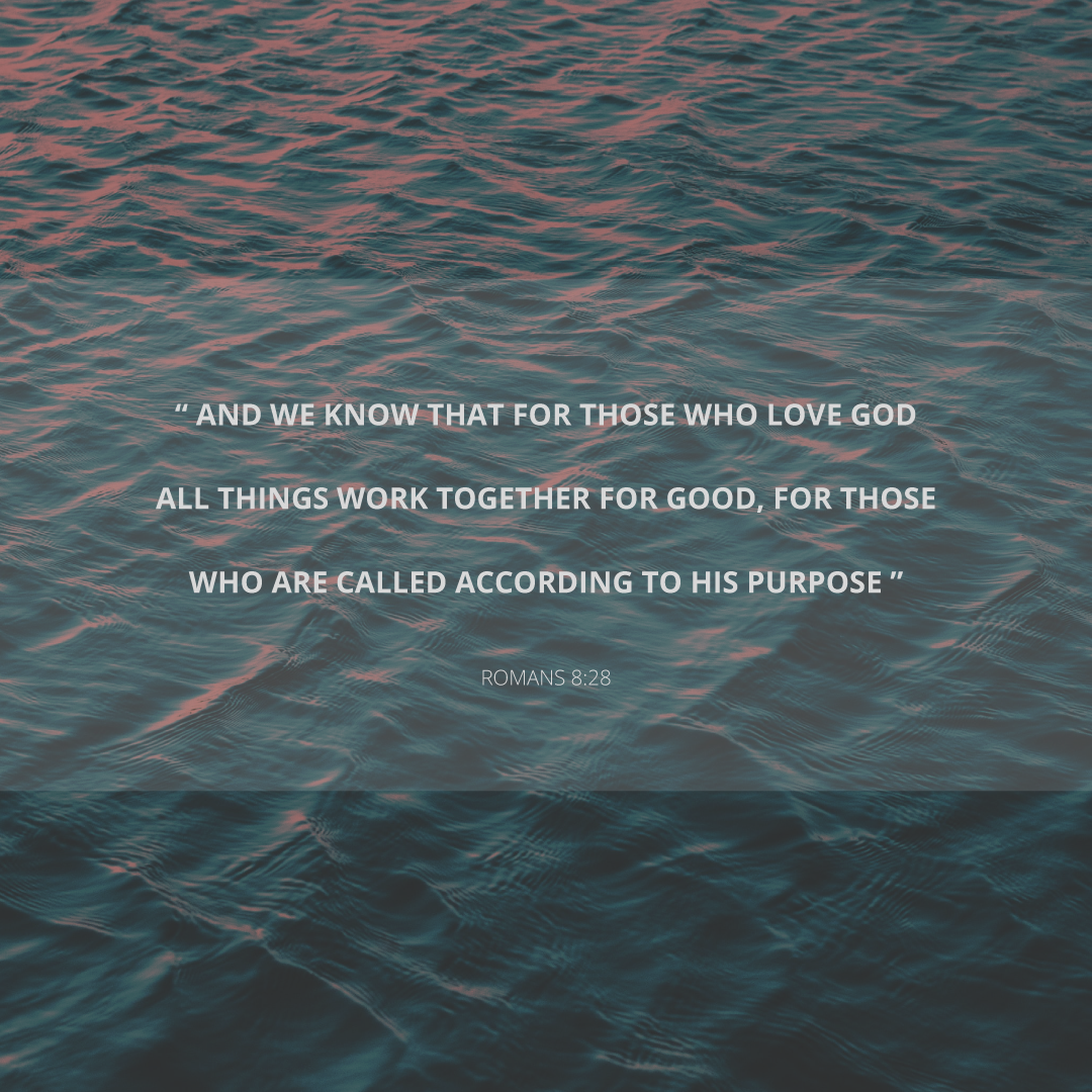 Social Scripture 18