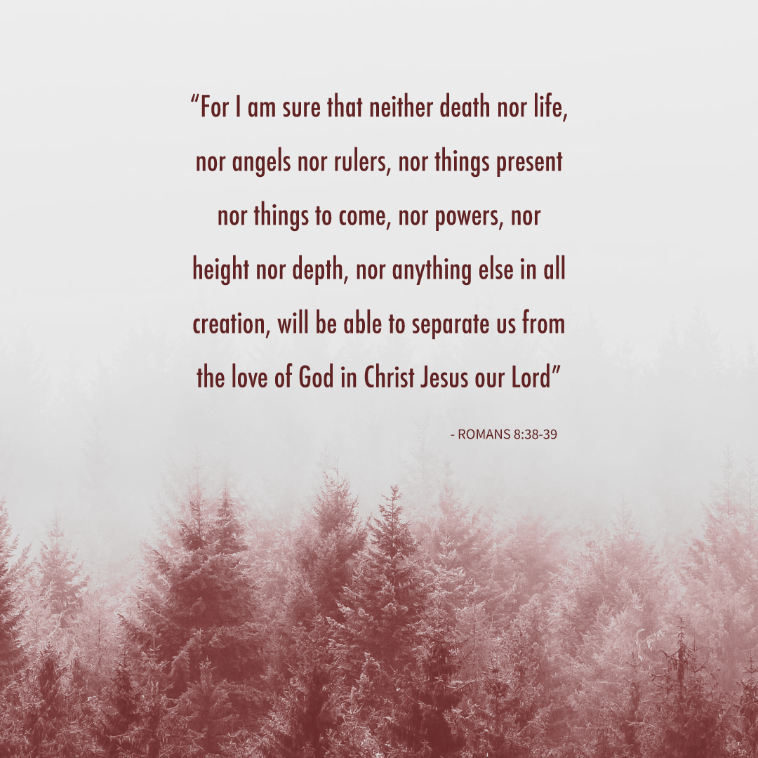 Social Scripture 24