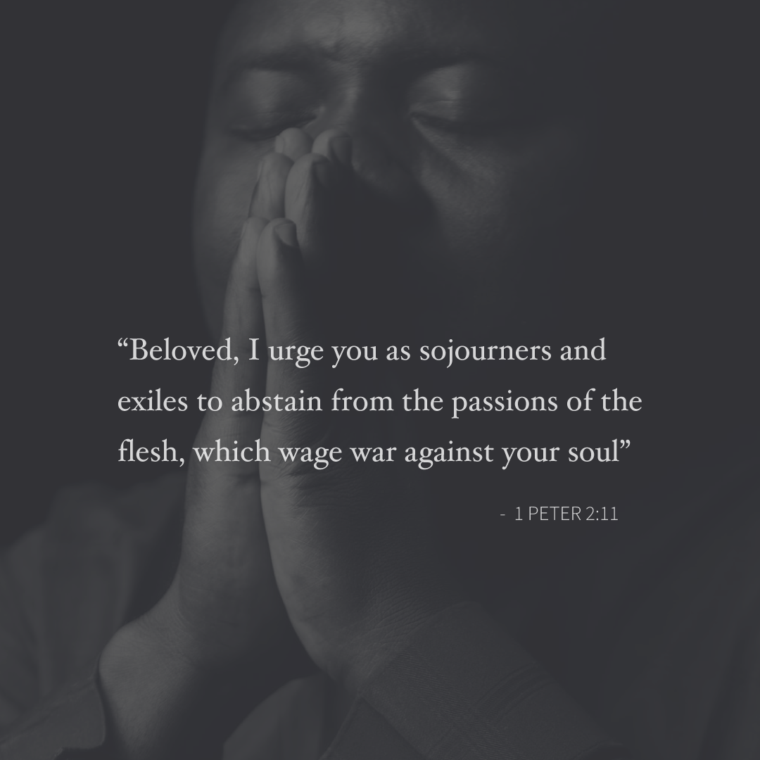 Social Scripture 29