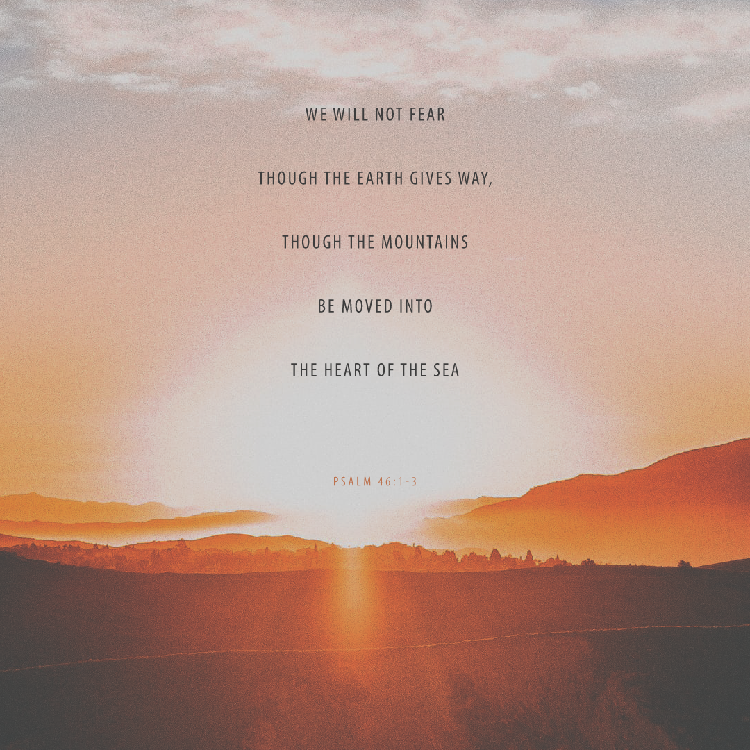Social Scripture 82
