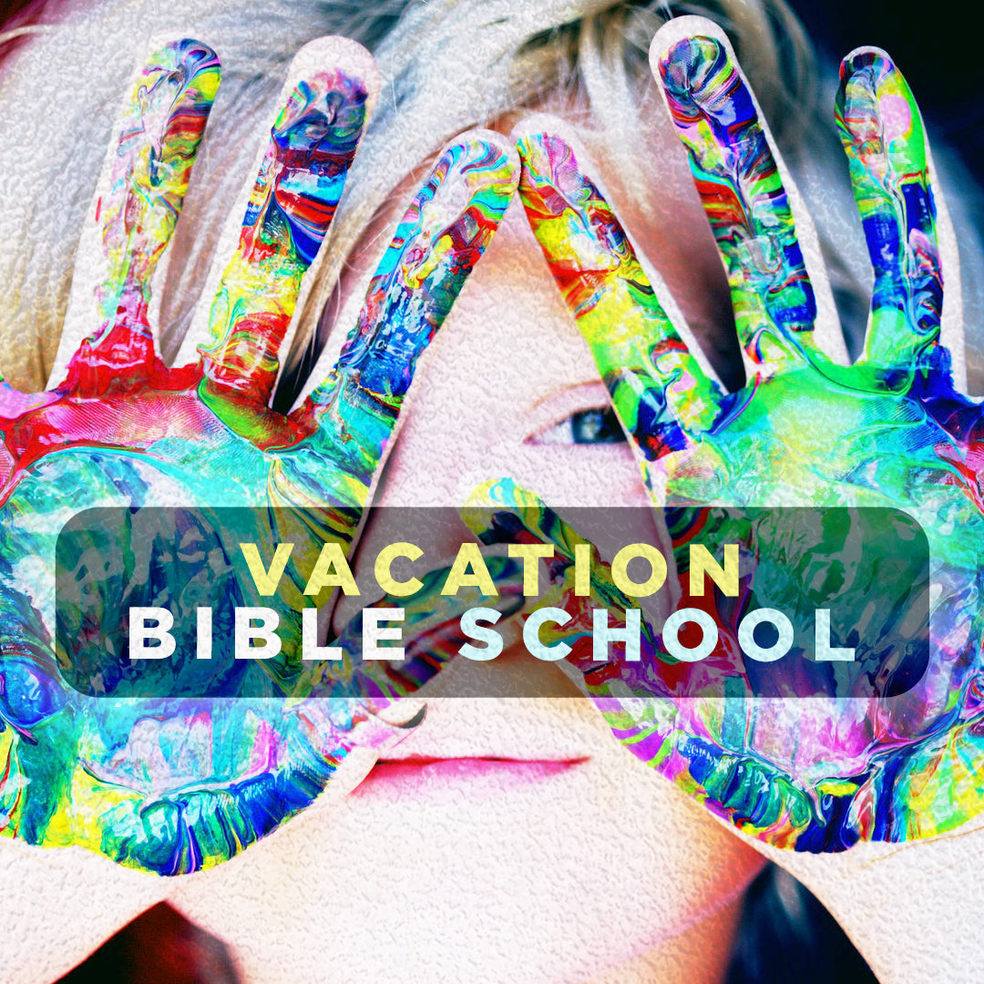 VBS 1