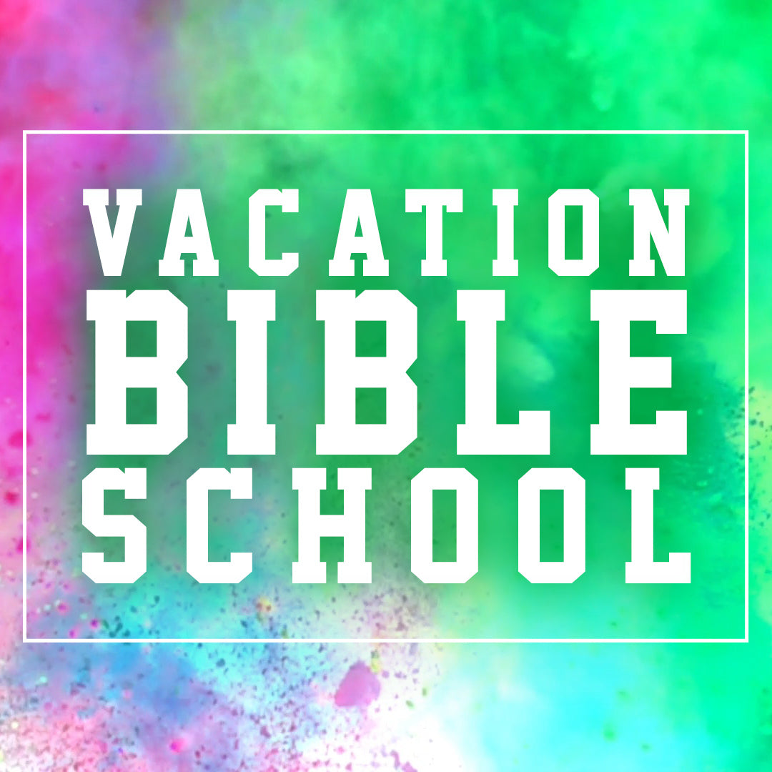 VBS 2