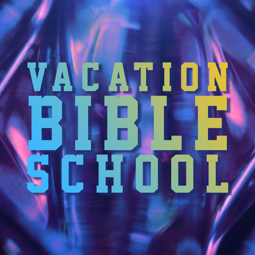 VBS 3
