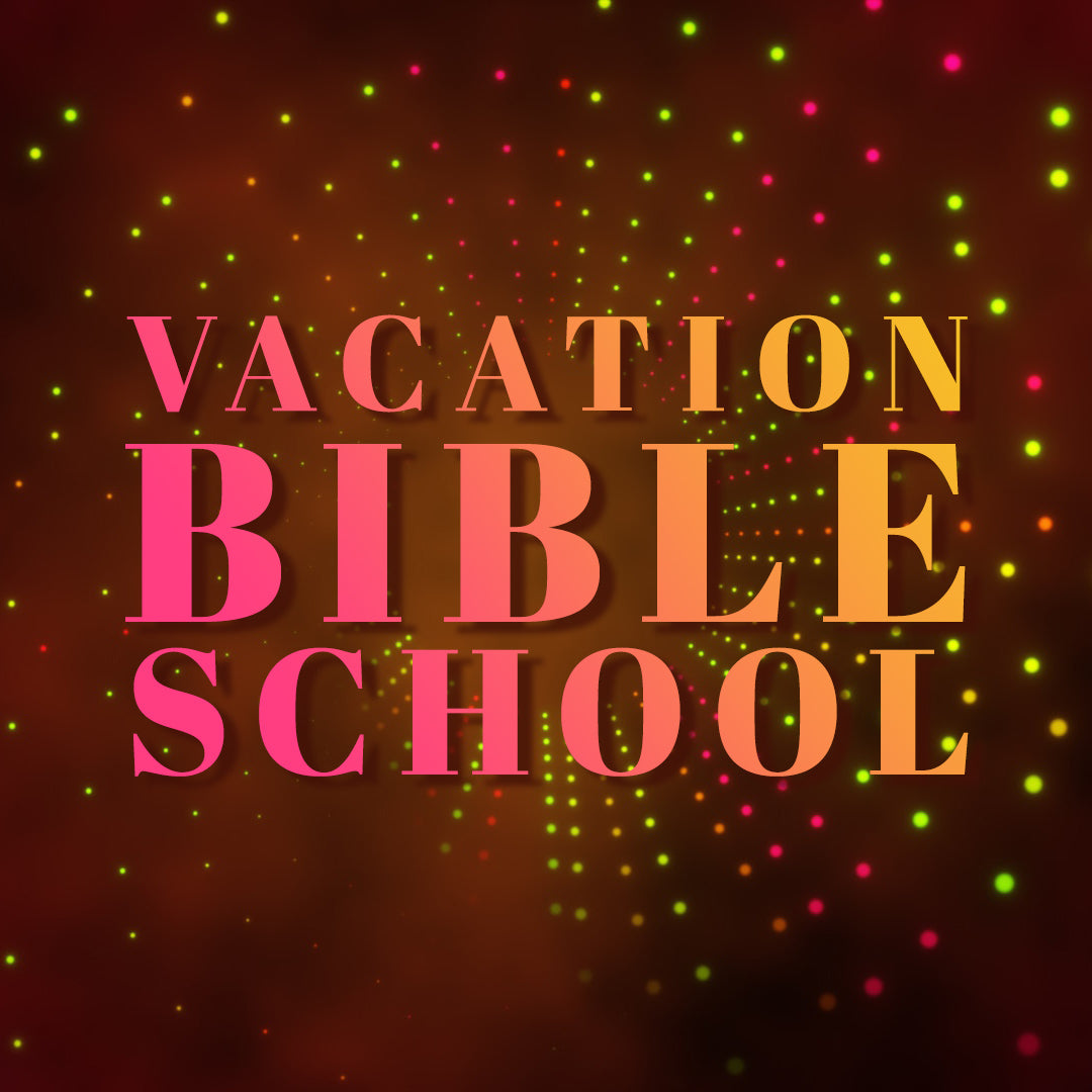 VBS 4