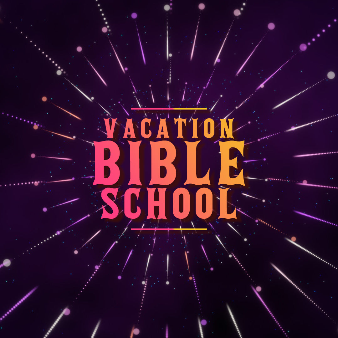 VBS 5