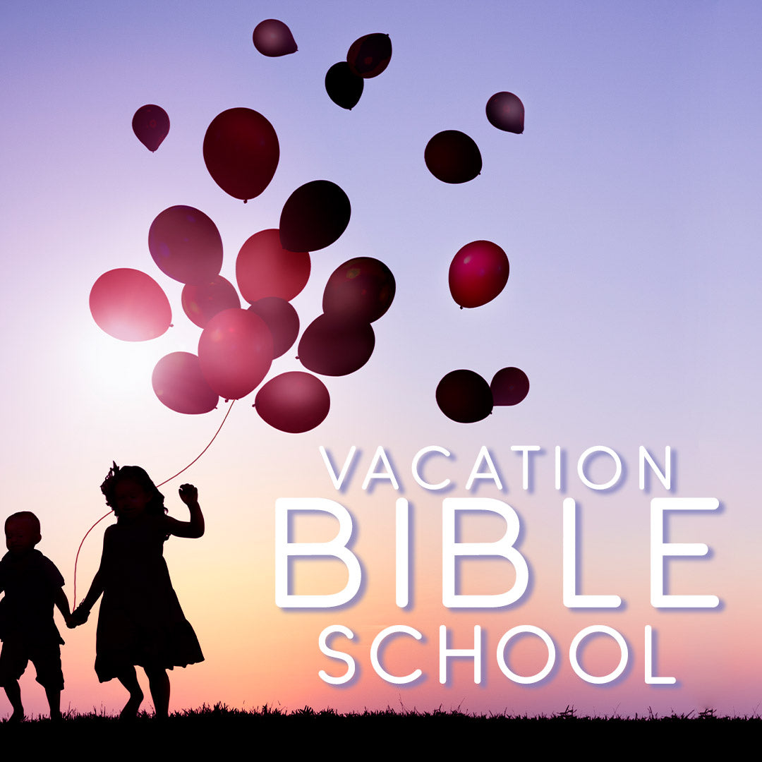 VBS 8
