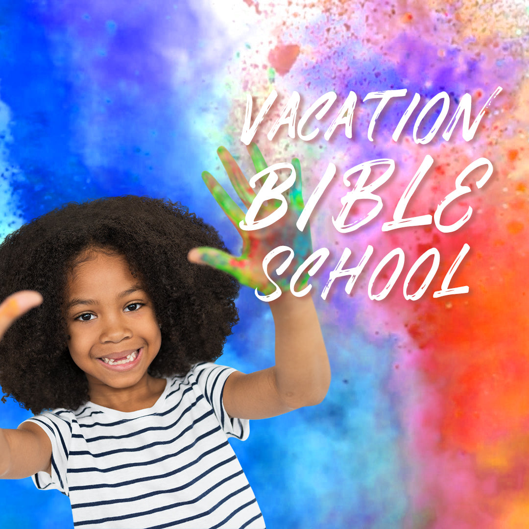 VBS 13
