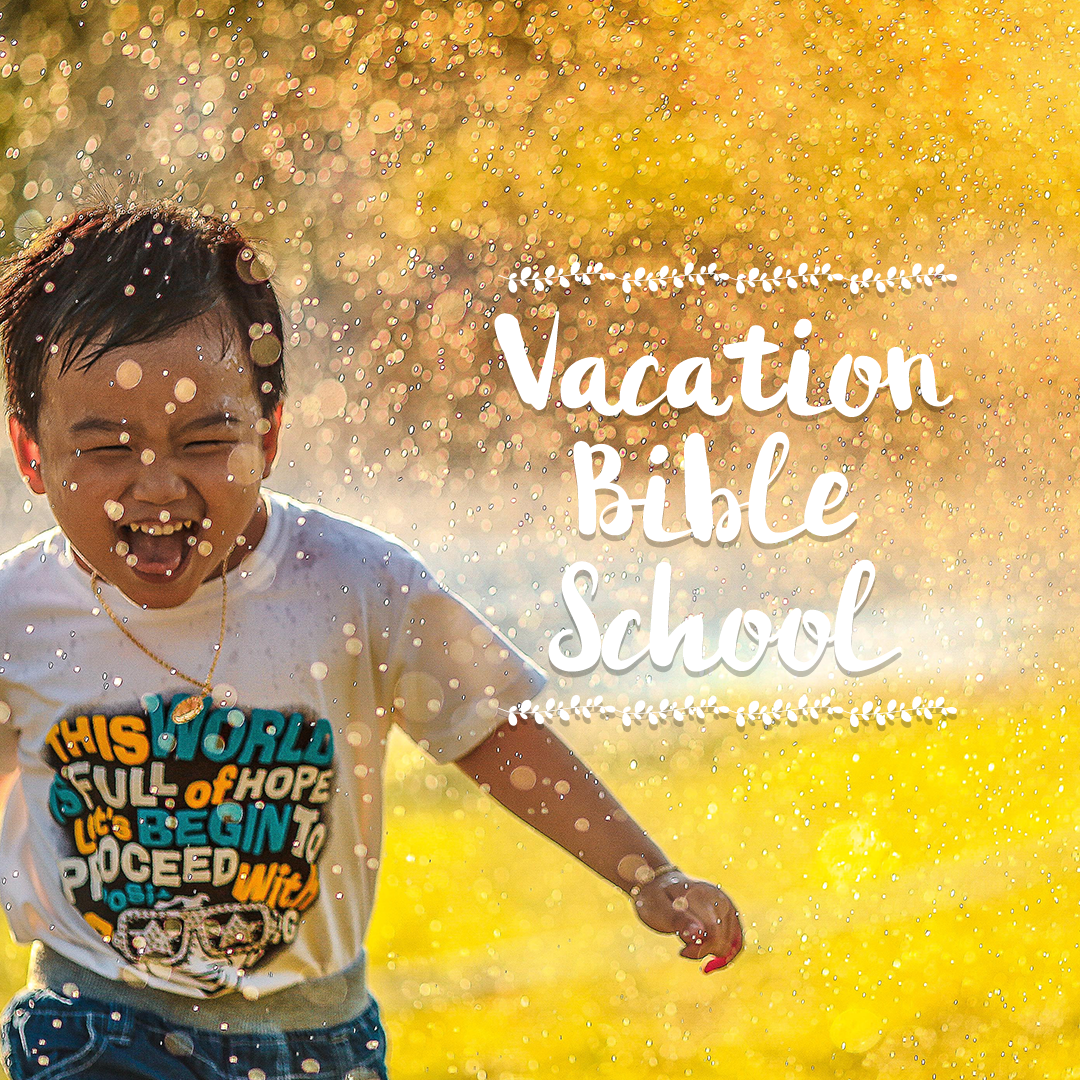 VBS 20
