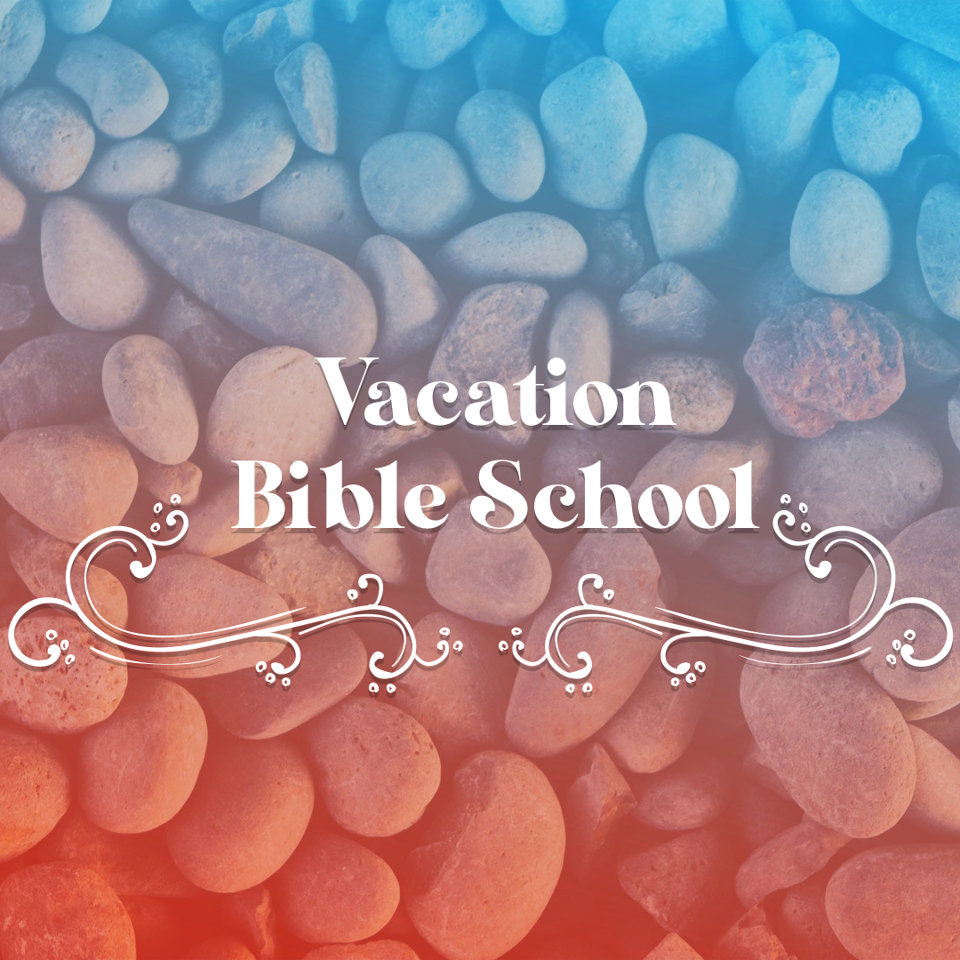VBS 24